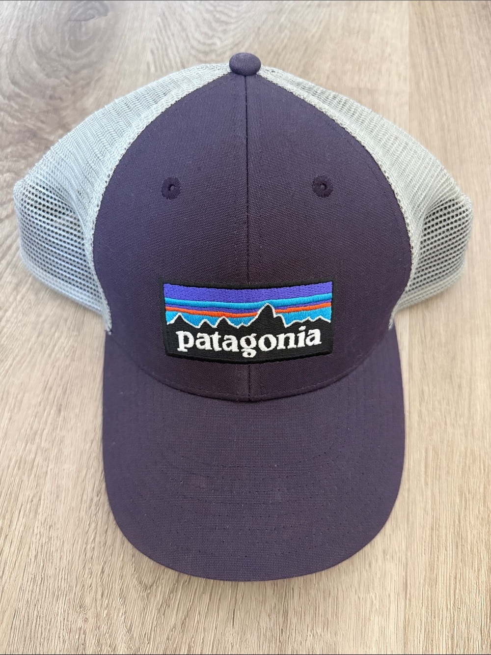 Patagonia Kids Purple Front with Gray Mesh Trucker Hat